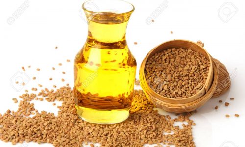 80503842-fenugreek-seeds-spices-and-essential-oils-