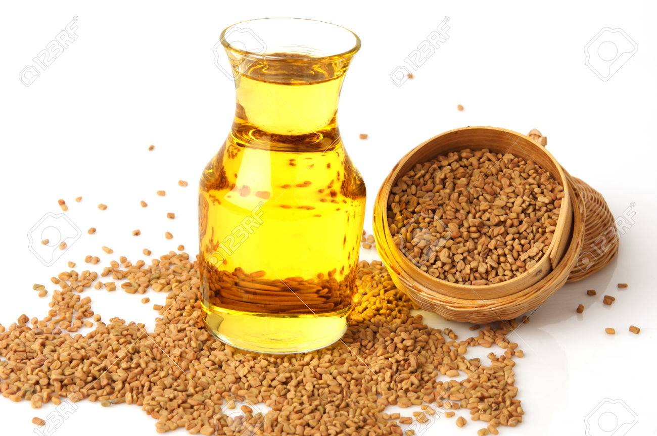 80503842-fenugreek-seeds-spices-and-essential-oils-